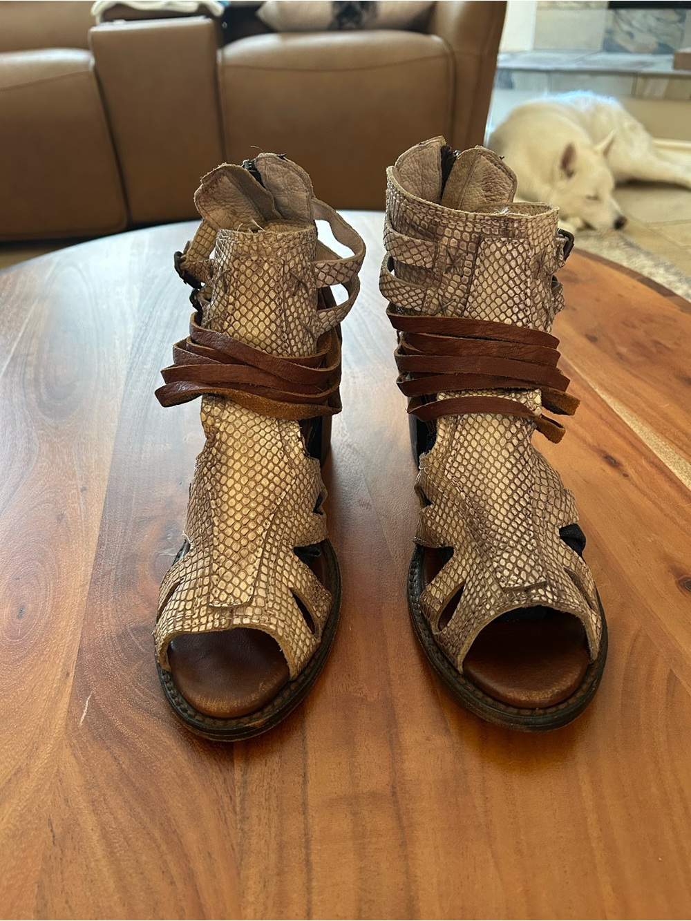 Freebird Nest Taupe Snake-Print Leather Wrap Sandals, size 9